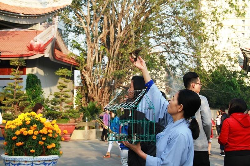 Dòng người thành kính đi lễ chùa đầu năm Bính Thân ảnh 9